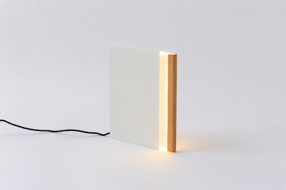 NIGHT BOOK